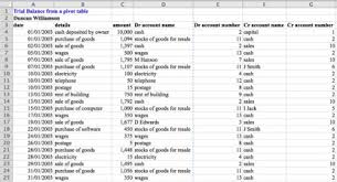 Trial Balance Using A Pivot Table Excel With Excel Master