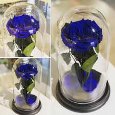 Die schöne und das biest, ursprünglich die schöne und das tier (frz. Die Schone Und Das Biest Rose In Sapphire Blue Fleurdeluxe Germany Bochum Roseinglass Dieschoneunddasb Ewige Rose Die Schone Und Das Biest Geschenkideen