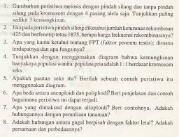 More images for soal pembelahan sel kelas xii » Soal Essay Pembelahan Sel Beserta Jawabannya