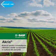 Plante aparent nevinovate pot deveni. Ce Vor Plantele Home Facebook