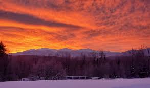 Book #1 of the tripods. White Mountains Regional School District Home