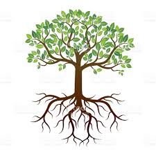 Image Result For Trees With Leaves Branches Roots And Trunk For Coloring Roots Drawing Tree With Roots Drawing Roots Illustration