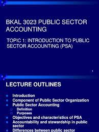 Public sector accounting in malaysia. Public Sector Accounting Fund Accounting Accounting