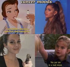 As a cancer woman, i have to concur with you. Pin On Reign