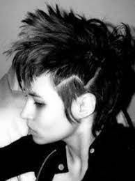 Horses Mane Mohawk Punk Girl Hair Horse Mane Girls Hairstyles Pictures