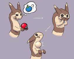 Rule34 - If it exists, there is porn of it  furret, pokemon (species)   6755551