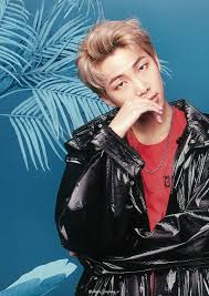 Scan Bts Japanese Album Face Yourself Photobook C Version Rm Cr Chocojjinpang V Bts Face Kim Namjoon Namjoon