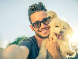 5 Star Pet-Friendly Self-Catering Accommodation in the UK and Ireland