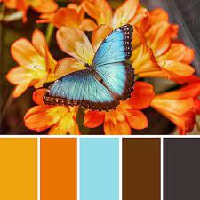 Pin En Color Inspiration Moda En Colores