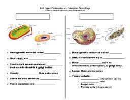 This Is A Fill In The Blank Notes Page That Highlights The Similarities And Differences Between Prokaryoteic And Eu Prokaryotes Eukaryotic Cell Cells Worksheet