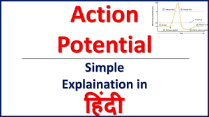 Action Potential And Resting Potential Neuron In Hindi Bhushan Science Youtube