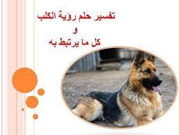 تفسير حلم الكلب youtube poster movie posters movies