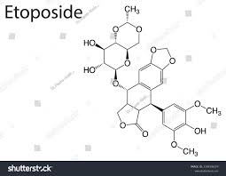 Image result for Etoposide