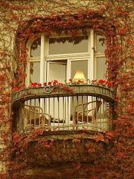 Autumn Ivy Balcony Share Moments Mit Bildern Schone Orte Fenster Und Turen Alte Fenster