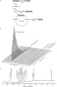 Teck hock lim, geok bee teh, richard david tilley. A New Hyperpolarized 13 C Ketone Body Probe Reveals An Increase In Acetoacetate Utilization In The Diabetic Rat Heart Scientific Reports