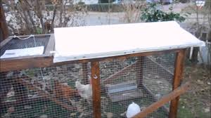 Die geflügelpest, auch aviäre influenza oder umgangssprachlich vogelgrippe genannt, ist weltweit in für eine übertragbarkeit des virus auf den menschen gibt es keine hinweise. Vogelgrippe Stallpflicht Fur Unsere Huhner Youtube
