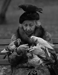 Bird Lady Of Central Park Nyc By Halnormank Black And White Photography White Photography Central Park Nyc