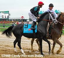 2009 Kentucky Derby Field