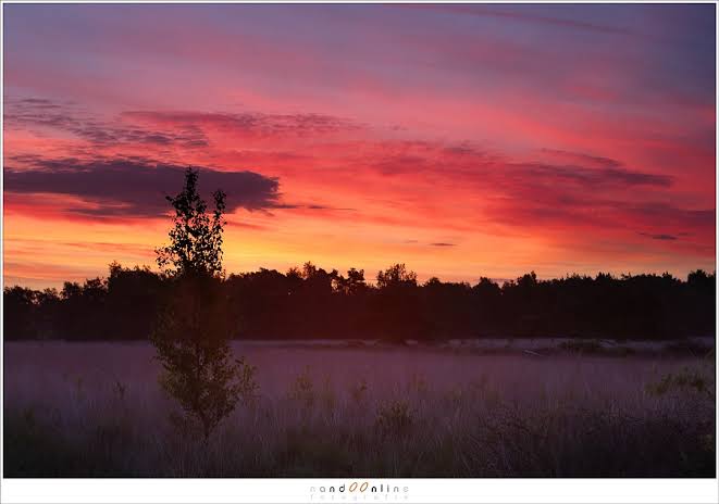 images?q=tbn:ANd9GcQyPYyDoTCycZ21My-46To7nNjFm9n3IWNvyRCmrkul7uKqiPwB9Axhme-P&s=10