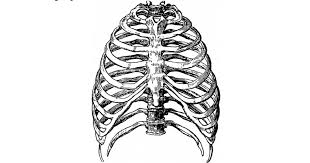 Pada dasarnya terdapat beberapa jenis batuk pada manusia, seperti batuk kering, batuk biasa maupun batuk berdahak. Batuk Berpanjangan Punca Dan Rawatan The Diagnosa