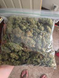 The cost of a pound varies greatly. Weed Highschool Freedom Vapetron Half Pound Of Cheese