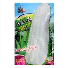 In case if you miss this: Touchhealthy Supply Good Germination Rate White Waxy Corn Seeds Sweet Maize Seeds 200gram Bags Products China Touchhealthy Supply Good Germination Rate White Waxy Corn Seeds Sweet Maize Seeds 200gram Bags Supplier