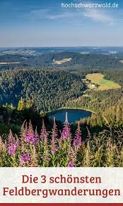 Die 3 Schonsten Wanderungen Am Feldberg Hochschwarzwald Tourismus Gmbh Schwarzwald Urlaub Wanderung Wandern Schwarzwald