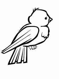 Push pack to pdf button and download pdf coloring book for free. Arizona State Bird Coloring Page Fresh Coloring Pages 47 Florida Coloring Page Image Ideas Ponce