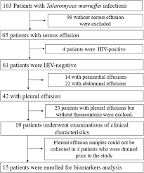 Bilateral pleural effusions with loss of bilateral costophrenic sulci (meniscus sign). Comparison Of Pleural Effusion Features And Biomarkers Between Talaromycosis And Tuberculosis In Non Human Immunodeficiency Virus Infected Patients Bmc Infectious Diseases Full Text