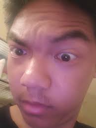 Zzz New Agent Seed Tourists