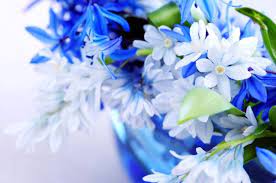 Explore amazing art and photography and share your own visual inspiration! Beautiful Blue Color Flower Free Stock Photos Download 21 919 Free Stock Photos For Commercial Use Format Hd High Resolution Jpg Images