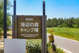新潟 海辺の森キャンプ場 で夏キャンプ 無料地引網体験は忘れずに キャンプ キャンプ場 新潟