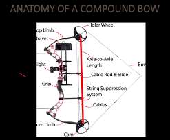 Bow Buyers Guide For Women And Youth Bass Pro Shops