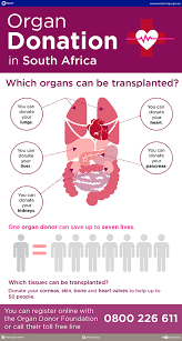A shocking number of patients on the waiting list die every year. Organ Donation In South Africa Western Cape Government