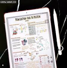 How To Create Good Looking Notes On The Ipad Goodnotes Blog Notes Inspiration Science Notes College Notes