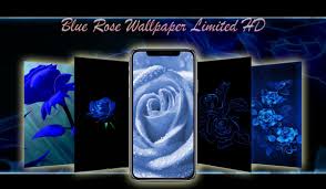 Youtube pink apk descargar gratis v14.06.54 última versión para teléfonos. Blue Golden Rose Wallpaper Hd For Android Apk Download