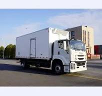 Customized 12ton Thermo King Freezer Truck Isuzu Giga 4X2 4X4 Frozen Food  Refrigerated Truck