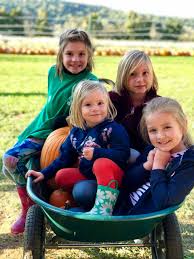 Image result for tbn:0PJB32OL7JwfOM::farm4.static.flickr.com/3324/3329876139_f2d551139f.jpg