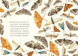 The Lost Spells By Robert Macfarlane Jackie Morris Hardcover Barnes Noble