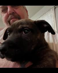 White Lightning (@white_lightning_clothing_llc) • Instagram photos and  videos