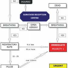 Pdf Triage Systems In Mass Casualty Incidents And Disasters A Review Study With A Worldwide Approach