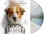 A Dog S Journey 2019 Dvd Cover