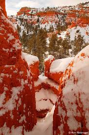 Dixie National Forest Utah With Images Beautiful Places Nature Amazing Nature