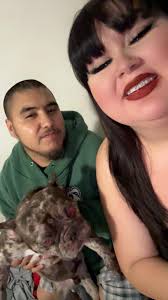 Lost dog in Phoenix, AZ near 21st Ave and Indian School