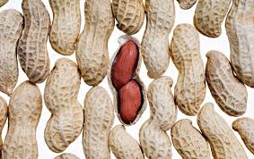 A food allergy reaction occurs when your immune system overreacts to a food or a substance in a food, identifying it as a danger and triggering a protective response. Gut Microbes May Be Key To Solving Food Allergies Scientific American