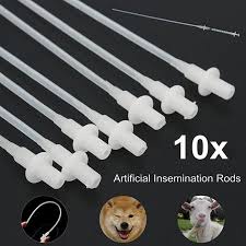Pretty much all reputable pomsky breeders breed their dogs through artificial insemination. 1 10pcs Artificial Insemination Rods Breeding Catheter Tube Dog Sheep Goat Walmart Canada