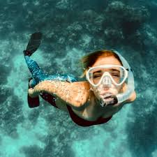 Snorkeling in Key West, Florida