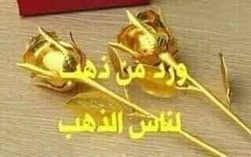 pin by hamo beyrouty on كلام جواهر in 2020 hair accessories bobby pins beauty