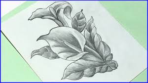 (the gif is a reference of what the flower actually looks like). How To Draw Realistic Water Lily Flower Daily Art 11 Step By Step White Lilly Youtube