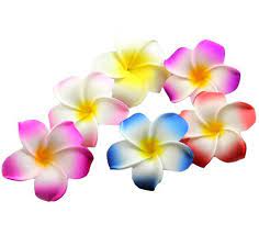 50pcs 3 5 Inch Mixed Artificial Plumeria Rubra Hawaiian Flower Etsy Flower Clip Foam Flowers Plumeria